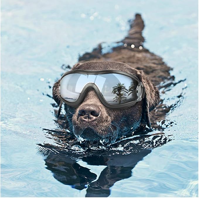 NACOCO Pet Anti-UV Glasses Dog Sunglasses Waterproof Dog Glasses Golden Retriever Samoyed Sunglasses Goggles Big Dog Sunglasses (ski)