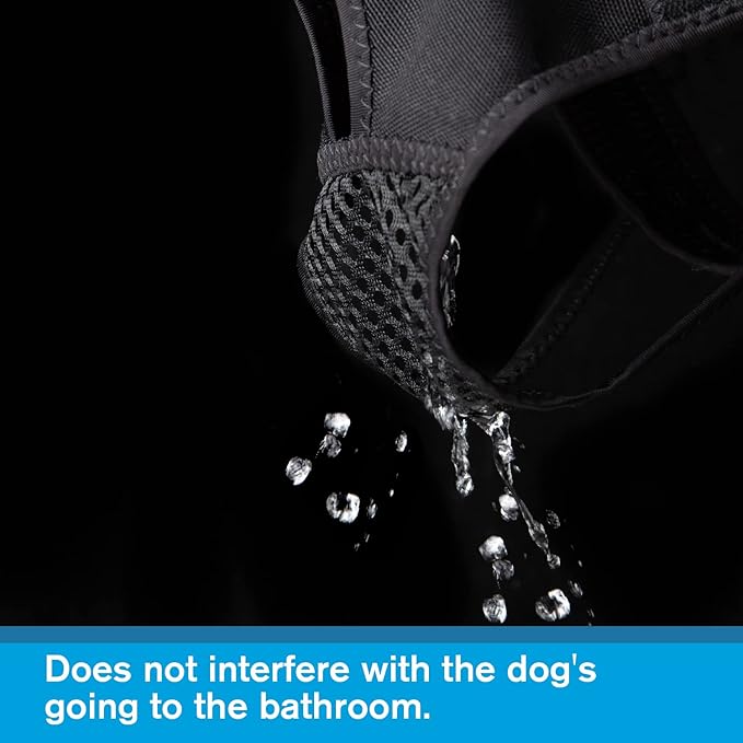 Reusable Female Dog Pants to Prevent Cross-Tailing, Washable Underwear for Dogs in Heat (L, Black)