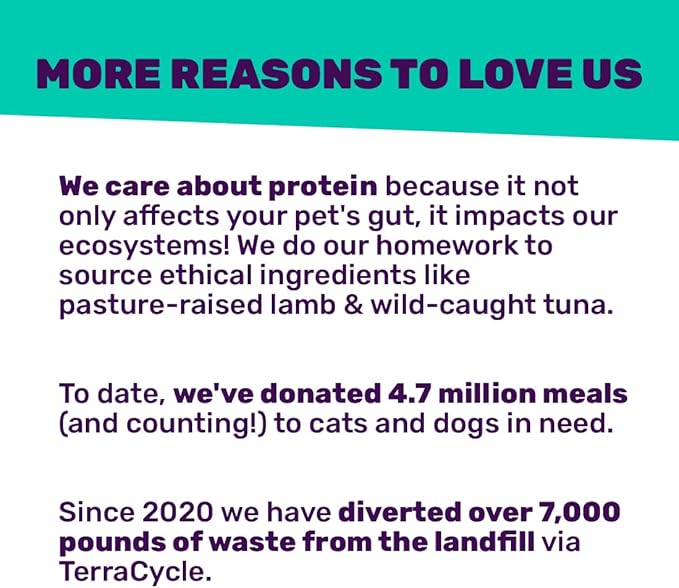 I and Love and You Wet Dog Food Toppers - Top That Move Beef with Bison Recipe in Gravy, Meal Enhancer Topper, 3oz 12pk