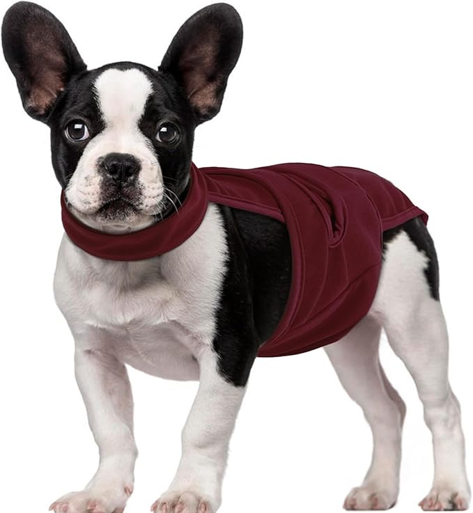 QBLEEV Female Dog Diapers with Adjustable Suspenders – Washable Sanitary Panties for Dogs in Heat or Incontinence, Escape-Proof Reusable Pet Period Underwear Onesie for Small to Large Breeds