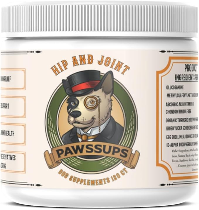 Hip & Joint Support for Dogs – Glucosamine, Chondroitin, MSM & Turmeric for Mobility, Flexibility & Joint Pain Relief – Daily Soft Chews for Senior & Active Dogs – 120 Count