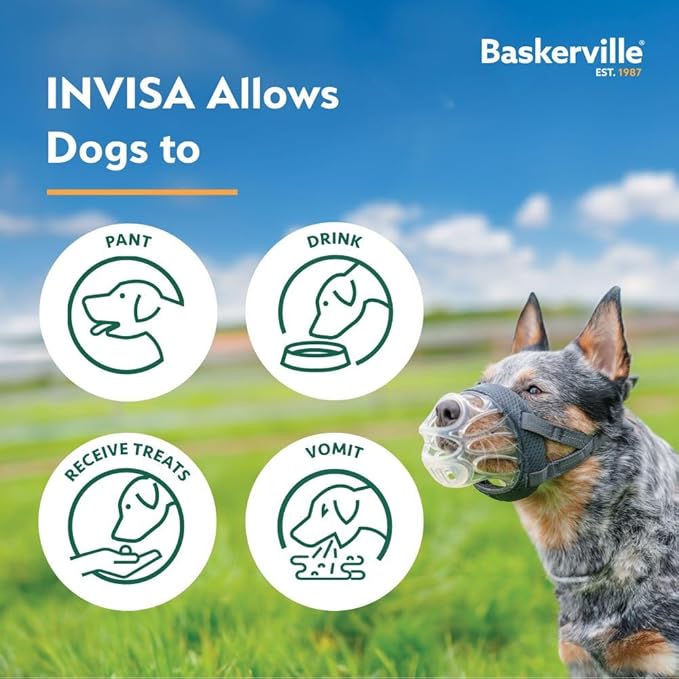 Baskerville INVISA Basket Dog Muzzle - Patented Humane Design with Facial Visibility, Padded Nose Band, Dog can Pant and Drink, Prevents Biting and Scavenging. Muzzle for Small Dogs (Size 2)