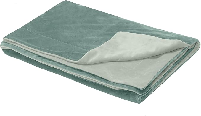 Furhaven Waterproof Throw Blanket for Dogs & Indoor Cats, Washable - Two-Tone Luxe Velvet Dog Blanket - Celadon Green, Large