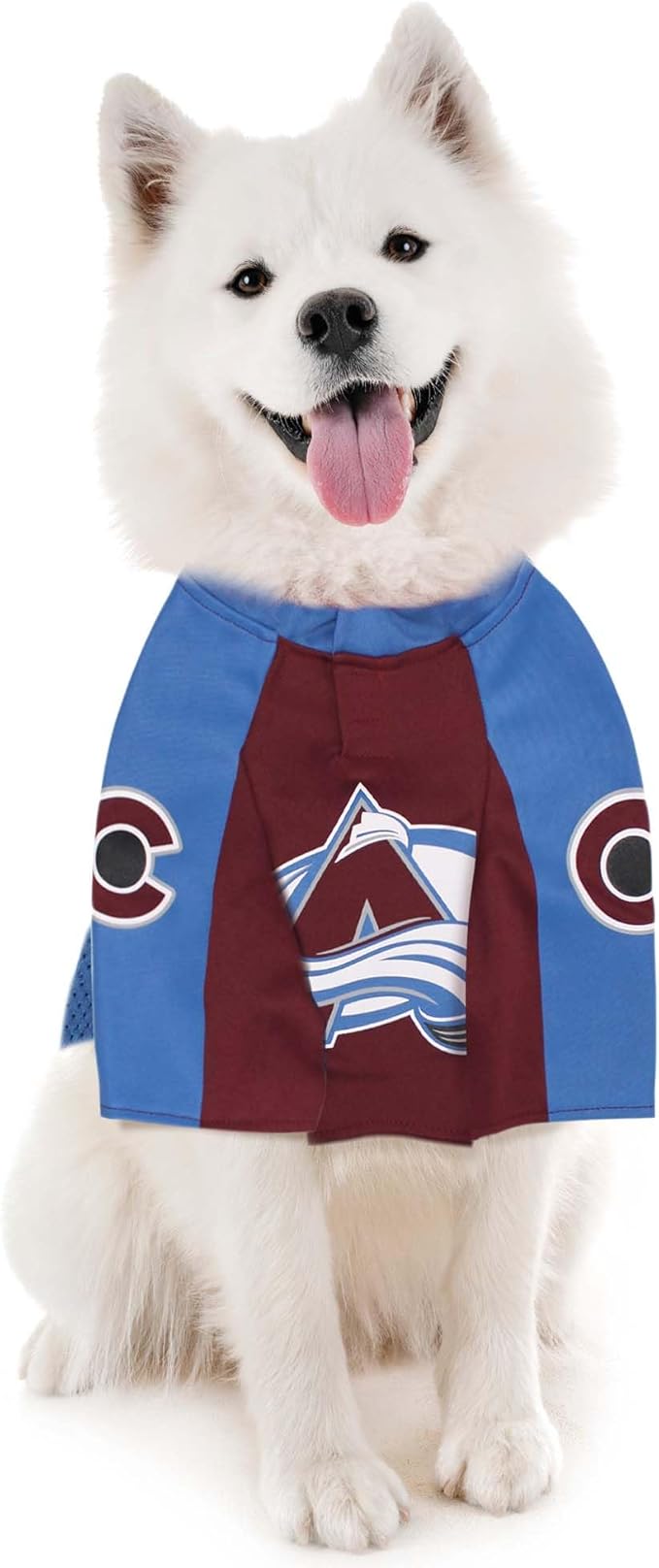 Pets First NHLPA Nathan MacKinnon Mesh Jersey for Dogs & Cats, Colorado Avalanche Nate Dogg-29, Dog Jersey, Size Small, Licensed Dog Jersey with Your Favorite Hockey Team Player