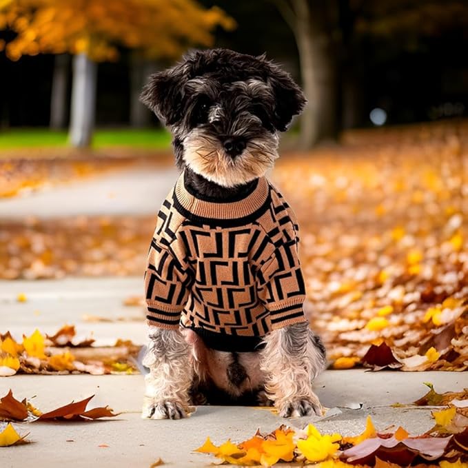 Luxury Dog Sweater – Soft Knit Designer Pet Outfit for Small Dogs & Puppies, XS–L, Stylish Warm Clothing for Yorkies, Chihuahuas, Dachshunds, Maltese, French Bulldog