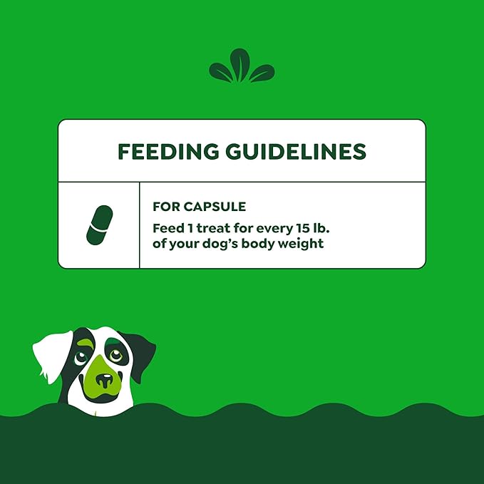 Greenies Pill Pockets for Dogs Large Size, Dog Treat Pouch for Capsule Medication, Variety Pack, 7.9 oz. Pouch