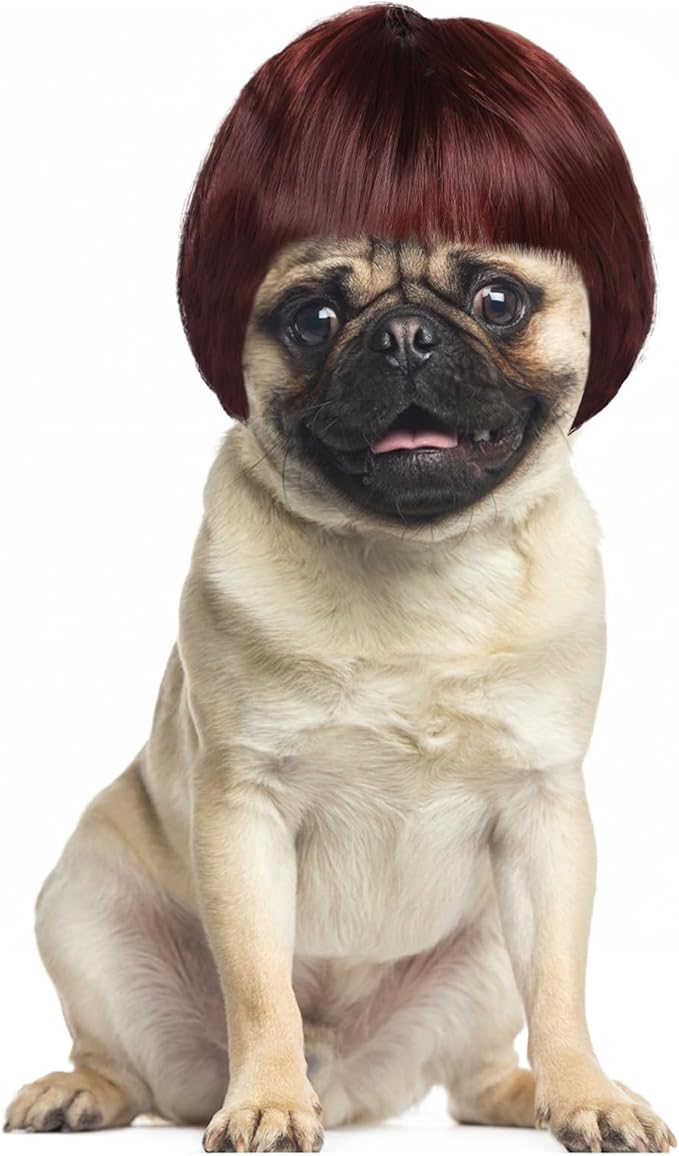 Dog Wigs for Small Dogs, Funny Dog Wig Pet Costume Pet Hair Accessories Elastic Cat Dogs Cosplay Wig Decoration for Halloween, Christmas, Parties（Reddish-Brown, 7 Inches）
