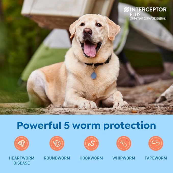 Interceptor Plus Prevention for Heartworm + 4 Other Worms for Dogs 50.1-100 lbs. | 12 Chews, 12-Month Supply