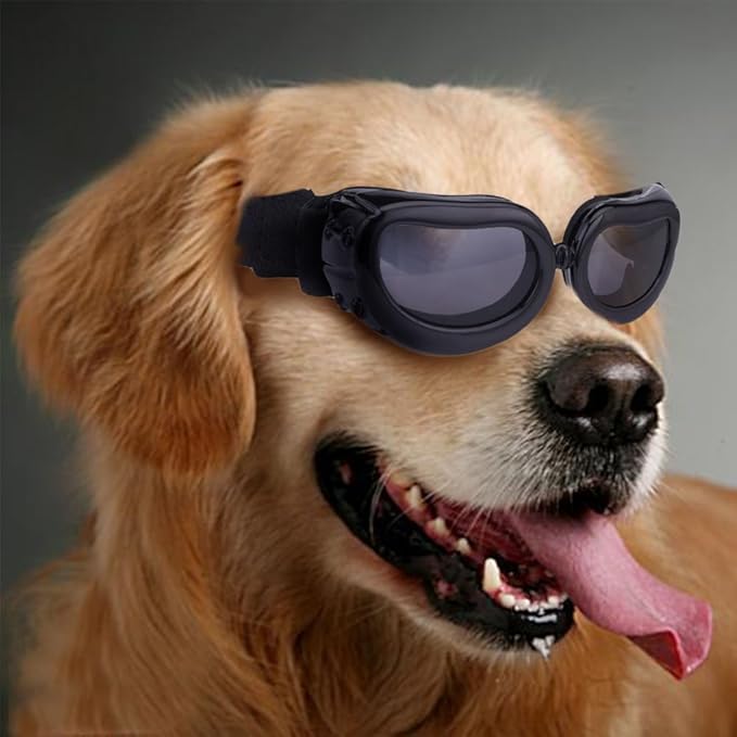 Outdoor Dog Sunglasses Anti-UV Eye Protection Goggles Waterproof Windproof Anti-Fog for Small Pet Puppy Cat (Black)