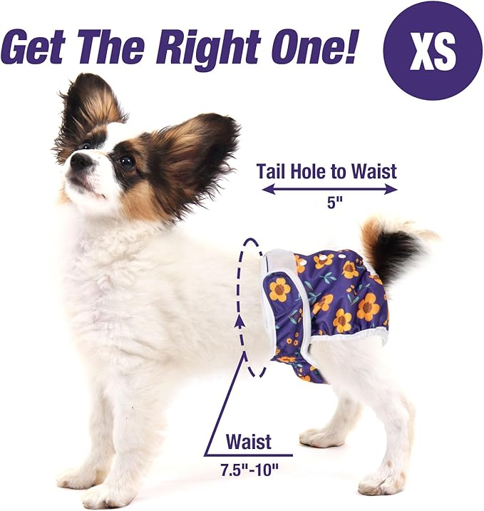 Pet Soft Washable Female Diapers (3 Pack) Female Dog Diapers, Comfort Reusable Doggy Diapers for Girl Dog in Period Heat (Cute Flower, XS)