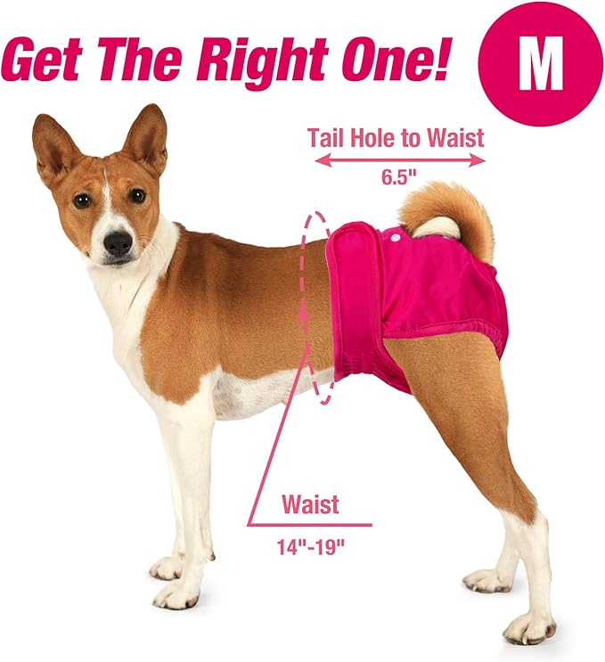 Pet Soft Washable Female Diapers (3 Pack) Female Dog Diapers, Comfort Reusable Doggy Diaper for Girl Dog in Period Heat (Classy, M)