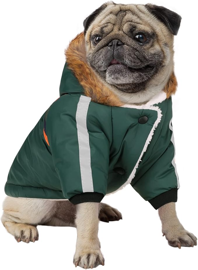 Queenmore Warm Dog Winter Coat, Cold Weather Waterproof Snow Jacket with Reflective Hoodie, Long Sleeves for Small to Large Dogs