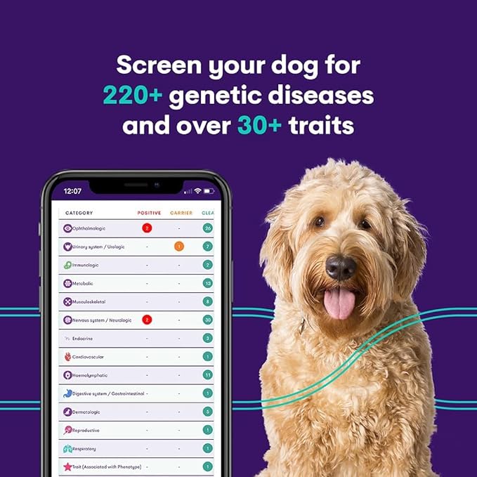 ORIVET Dog DNA Test Kit – Comprehensive Dog DNA Test Kit for 365+ Breed Identification & 330+ Health Markers | At Home Dog DNA Kit with Canine Genetic Testing & Life Plan Genopet Plus