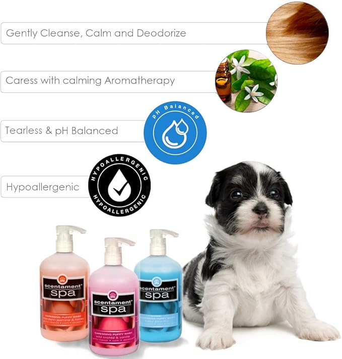 Best Shot Scentament Spa Caressing Puppy Wash, Baby Powder, 16 oz