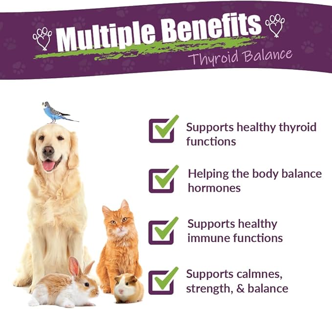 Amber NaturalZ TYD Thyroid Balance Herbal Supplement for Dogs, Cats, Birds, Guinea Pigs, and Rabbits | Herbal Pet Supplement for Thyroid Health | 4 Fluid Ounce Glass Bottle | Manufactured in The USA