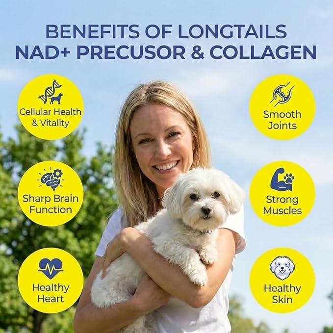 NAD+ Precursor Senior Dog Supplements & Vitamins Powder – Cognitive, Heart & Muscle Support – Senior Dog Multivitamin Powder Alternative with NR, Collagen, Bone Broth & Beef Liver