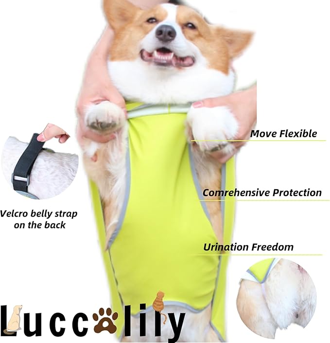 Dog Rain Jacket with Hood for Small Pet, Waterproof Raincoat with Reflective Strip，Adjustable Belly Strap Protection, Lightweight Poncho (X-Small,Light Green)
