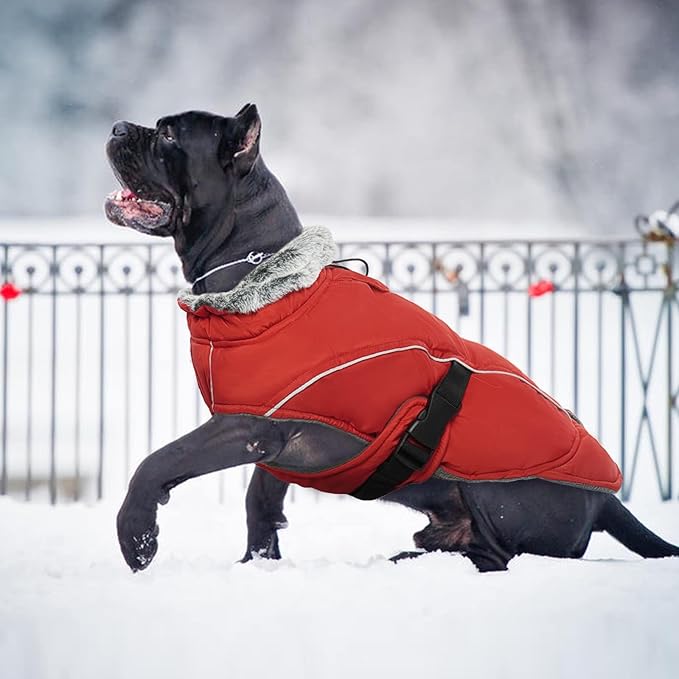 DENTRUN Winter Warm Dog Coat Reflective Jacket with Turtleneck for Cold Weather, Adjustable Buckle Windproof Water Repellent, Thick Snowsuit Fleece Vest for Small, Medium, Large Dogs, Red, XL