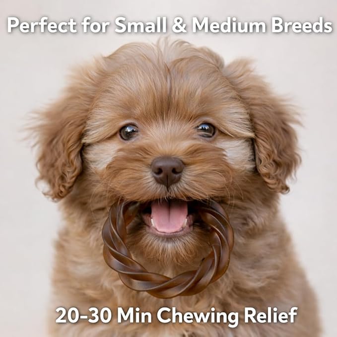 No Rawhide Puppy Teething Rings – Pumpkin (4 Rings) Grain Free Rawhide Alternative Teething Treats for Puppies