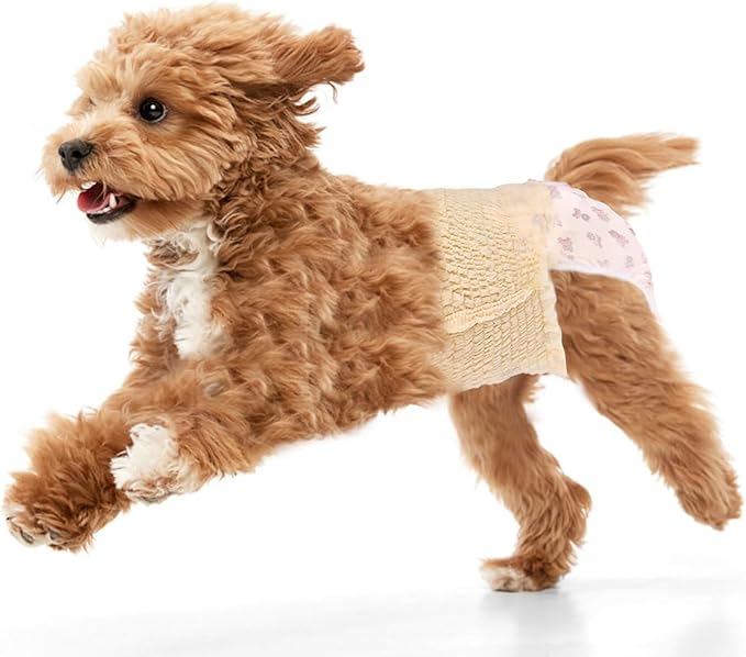 Ambreview Dog Diapers Female, Disposable Diapers for Female Dog with Stretchy Waist, Pull Up Puppy Wraps for Doggie in Heat Period Super Absorbent Leak-Proof Doggy Diaper for Dogs 30PCS (XS)