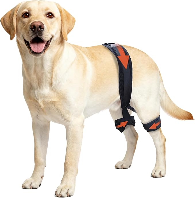 Dog Hip Brace for Hip Dysplasia, Adjustable Dog Hip Support Brace with Targeted Compression, Stabilizes Joints, Relieves Pain from Arthritis, L
