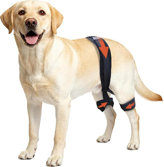 Dog Hip Brace for Hip Dysplasia, Adjustable Dog Hip Support Brace with Targeted Compression, Stabilizes Joints, Relieves Pain from Arthritis, L