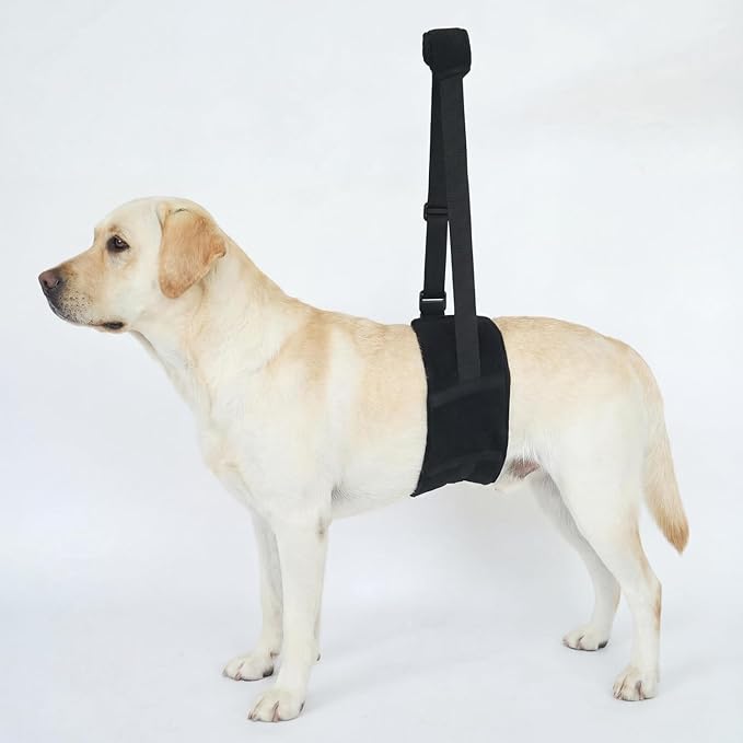 Dog Lift Harness for Rear Legs, Adjustable Dog Support Sling with Soft Padding, Hind Leg & Hip Support for Walking, Stairs & Recovery, Mobility Aid for Senior Dogs (L)