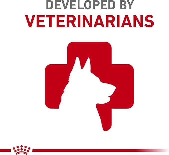 Royal Canin Chihuahua Adult 8+ Breed Specific Dry Dog Food for Senior Dogs, 2.5 lb. bag