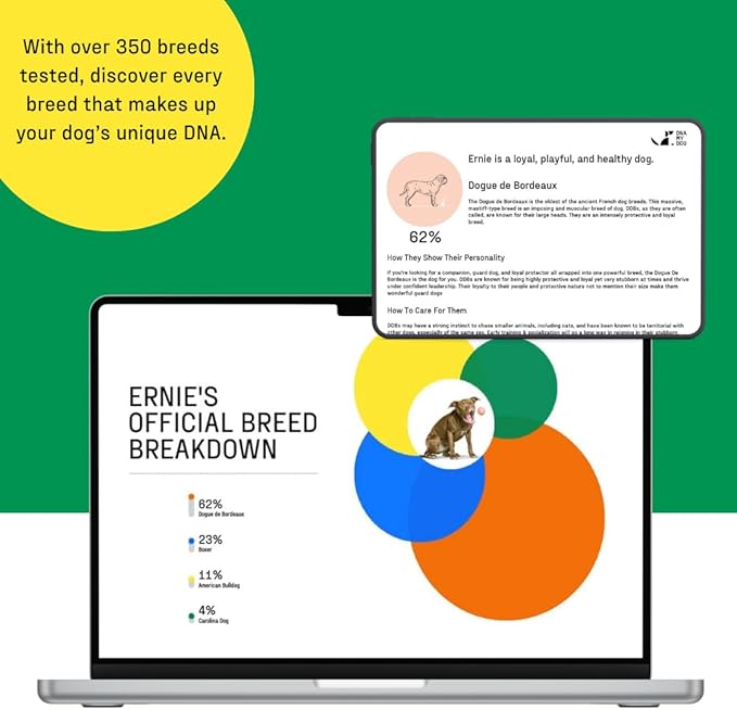 DNA MY DOG – Trusted & Affordable Breed Identification Test | 350+ Breeds Identified w/ 99%+ Accuracy | Complete Breed Analysis, Personality and Behavior Insights | Easy Cheek Swab, Results in 2 Weeks