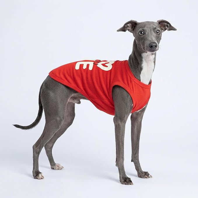 Fitwarm Love You Dog Shirt, Funny Valentines Outfit for Small Dogs Boy Girl, Festive Pet Clothes, Red, White, Small