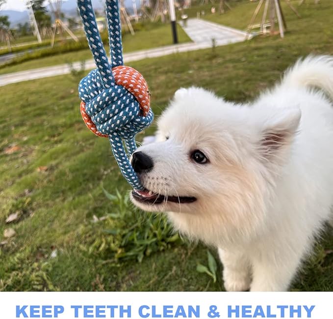 Dog Toys Small Dog Chew Toys Dog Teething Toys Squeaky Toys Chihuahua Pomeranian Corgi and PoodlesToys 6 PCS