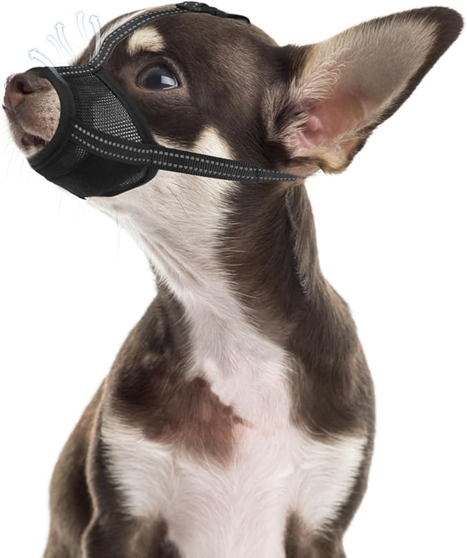 PAWCHIE Dog Muzzle, Soft Muzzle Anti Biting Barking Chewing, Comfortable Air Mesh Mouth Guard Breathable Adjustable Loop Pets Muzzle for Small Medium Large Dogs, Allows Panting Drinking, Black S