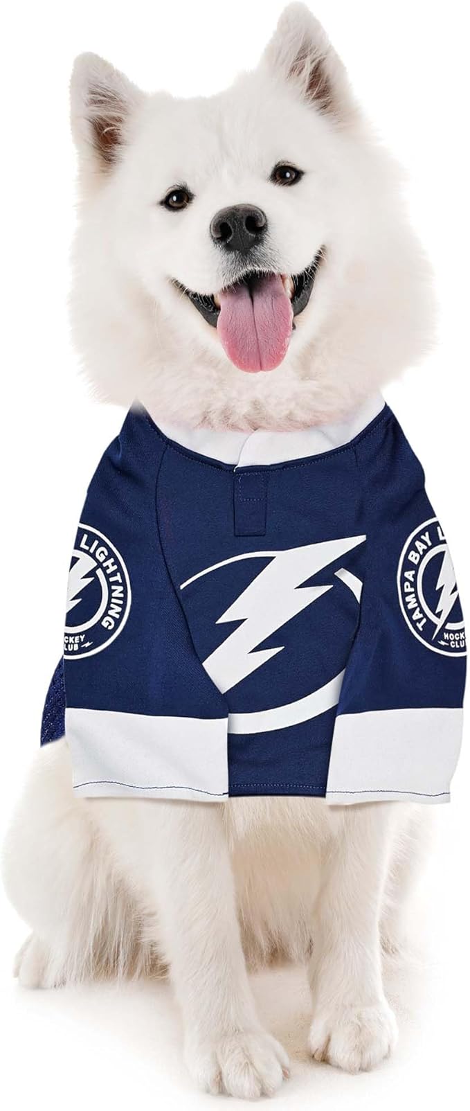 Pets First NHLPA Nikita Kucherov Mesh Jersey for Dogs & Cats, Tampa Bay Lightning The Russian Rifle-47 Dog Jersey, Size Small, Licensed Dog Jersey with Your Favorite Hockey Team Player