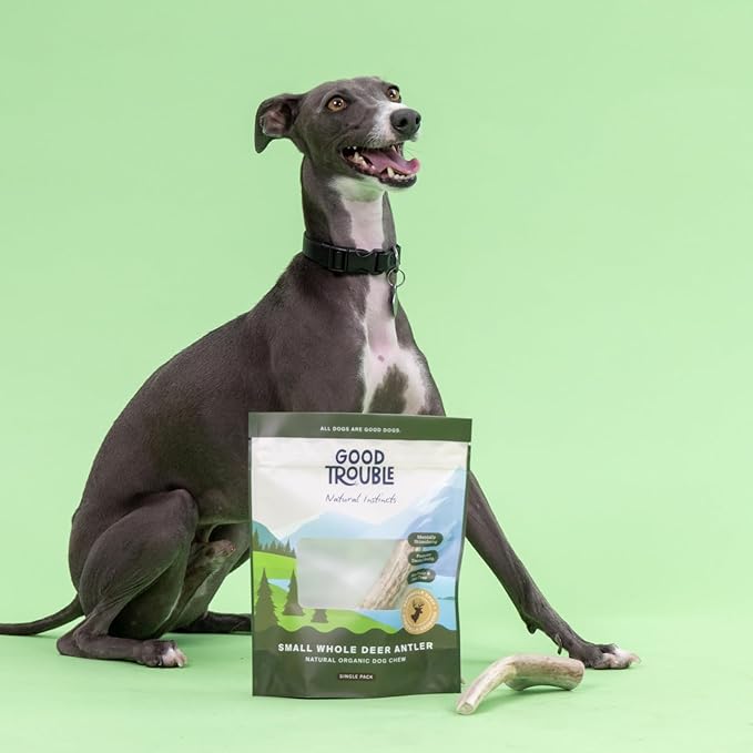 Good Trouble Premium Deer Antlers for Small Dogs – 1 Whole Antler Pets - North American Sourced Deer Antlers for Dental Health & Anxiety Relief - Odor-Free & Non-Toxic Chew Bone for Dogs