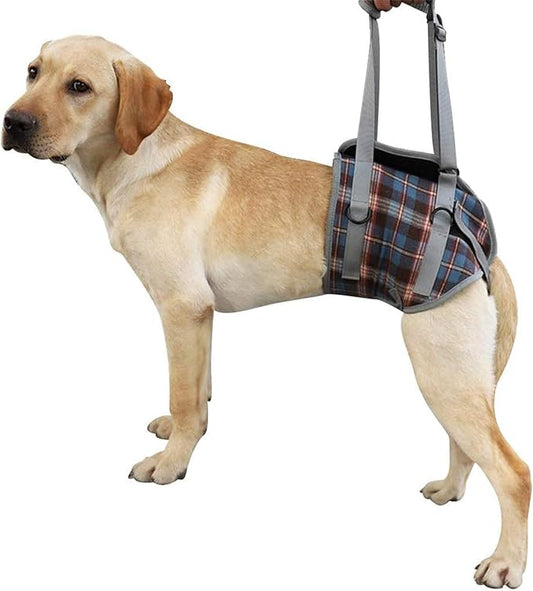 ROZKITCH Dog Lift Harness, Grid Pet Rear Support Aid Veterinarian Approved Sling for Old K9 Help With Poor Stability, Back Leg Hip Disabled Joint Injury Elderly Arthritis ACL Rehabilitation Rehab