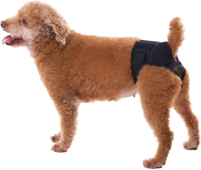 Reusable Female Dog Pants to Prevent Cross-Tailing, Washable Underwear for Dogs in Heat (L, Black)
