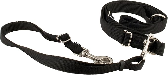 PetSafe Hands Free Adjustable Dog Leash - Great for Running, Jogging, Walking and Hiking - Wear Around the Waist - Black
