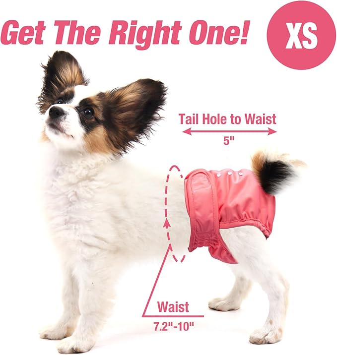 Pet Soft Washable Female Diapers (3 Pack) Female Dog Diapers, Comfort Reusable Doggy Diaper for Girl Dog in Period Heat (Sprightly, XS)