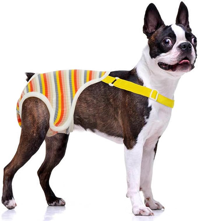 QBLEEV Dog Diapers Female Washable Sanitary Pantie with Adjustable Suspender, Reusable Doggie Diapers for Male Girl Dogs in Heat, Pet Period Panties Dog Underwear Jumpsuits for Teddy French Bulldog L