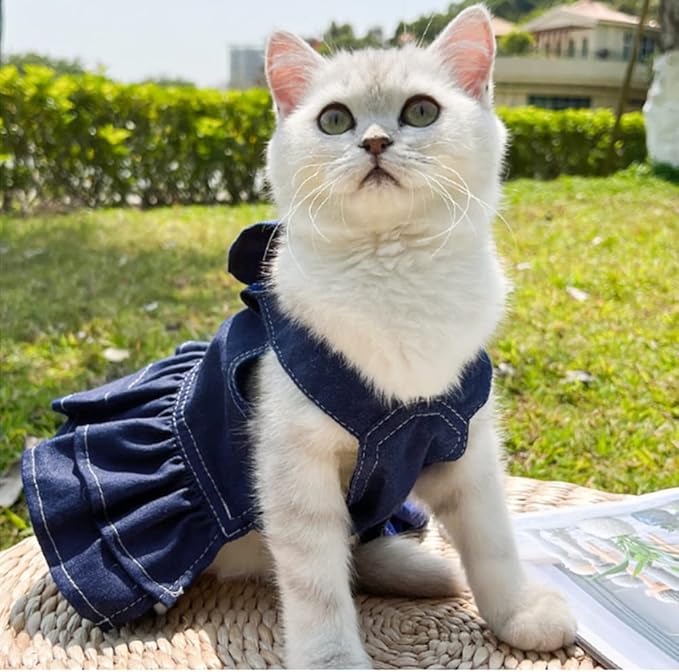 ANIAC Denim Dog Dresses for Small Dogs Puppy Girl Clothes with Leash Ring and Cute Bow Knot Summer Cat Apparel with D-Ring Blue Girl Dog Clothes (Dark Blue,Medium)