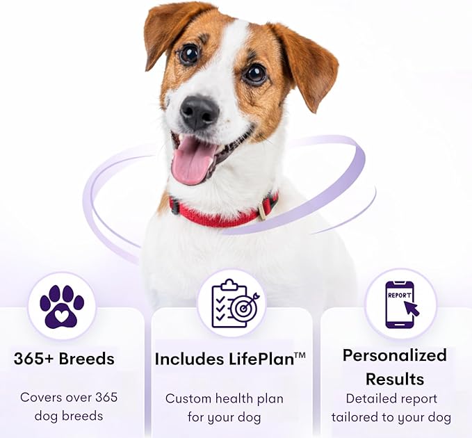 ORIVET Dog DNA Test Kit – Comprehensive Dog DNA Test Kit for Over 330+ Breed Identification | At Home Dog DNA Kit with Canine Genetic Testing & Life Plan Genopet