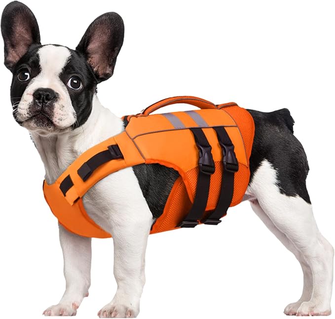 Kuoser Medium Dog Life Jacket, High Flotation Dog Life Vest for Swimming Boating, Reflective Dog Swimming Vest for Medium Dogs Pet Life Preserver with Rescue Handle, Orange M