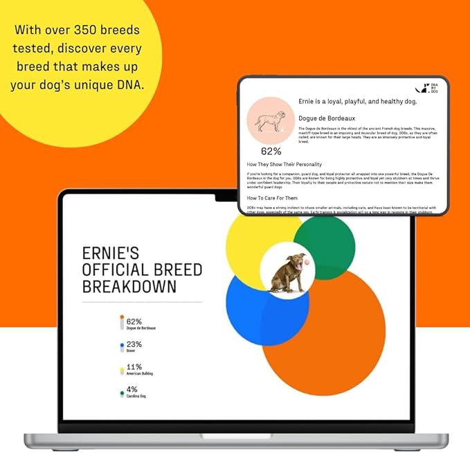 DNA Genetic Age and Breed Test – Trusted & Affordable Breed Identification | 350+ Breeds Identified with 99%+ Accuracy | Plus Genetic Age Test, Wolf DNA