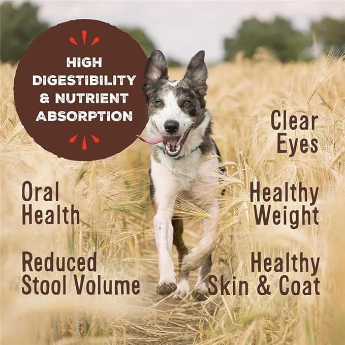 Primal Freeze Dried Dog Food, Pronto Mini Nuggets, Chicken; Scoop & Serve, Complete & Balanced Meal; Also Use As Topper or Treat; Premium, Healthy, Grain Free, High Protein Raw Dog Food (25 oz)