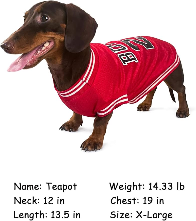 Dog Clothes Basketball Mesh Breathable T-Shirt,Pet Clothes Puppy Sportswear Spring/Summer Fashion Dog Shirt. (Red, Medium)