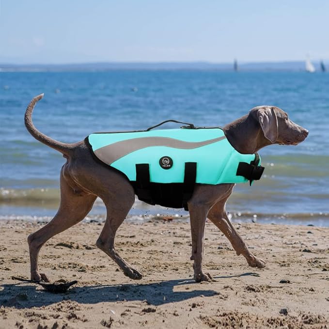 EMUST Dog Life Vests, Adjustable Dog Life Jackets for Small Dogs with Enhanced Buoyancy, Small Swim Vest with Durable Rescue Handle, Turquoise,XS