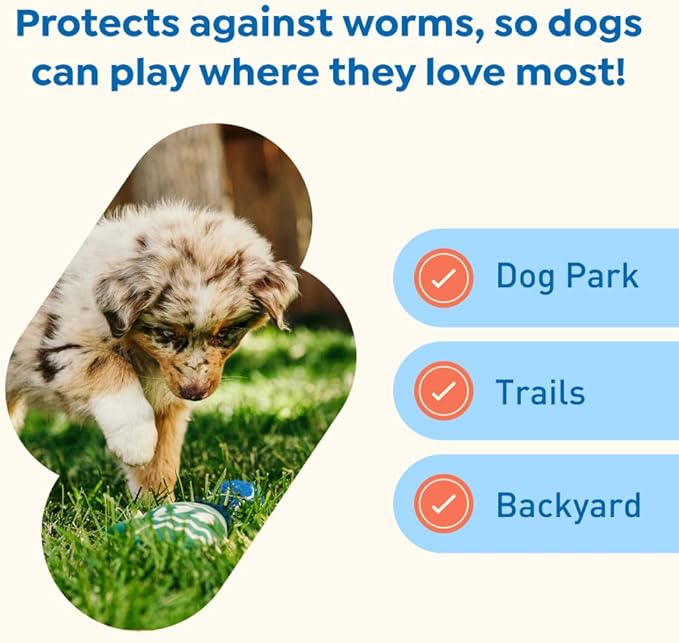 Interceptor Plus Prevention for Heartworm + 4 Other Worms for Dogs 2-8 lbs. | 6 Chews, 6-Month Supply