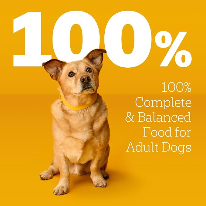 Pedigree Choice Cuts in Gravy Adult Wet Dog Food 16-Count Beef, Bacon, & Cheese Flavors, 3.5 oz. Pouches