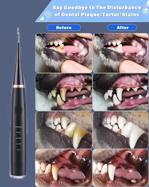 Sonic Tooth Cleaner for Dogs – High-Frequency Dog Tartar Remover Tool, IPX6 Waterproof, 30H Endurance, Dog Teeth Cleaning Kit with Plaque & Tartar Remover Brush (Black)