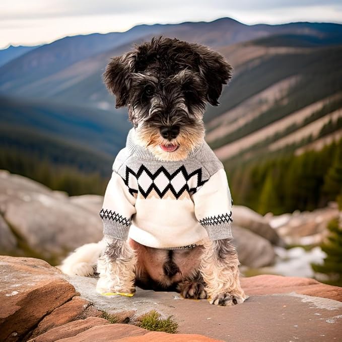 Luxury Dog Sweater – Soft Knit Designer Pet Outfit for Small Dogs & Puppies, XS–L, Stylish Warm Clothing for Yorkies, Chihuahuas, Dachshunds, Maltese, French Bulldog